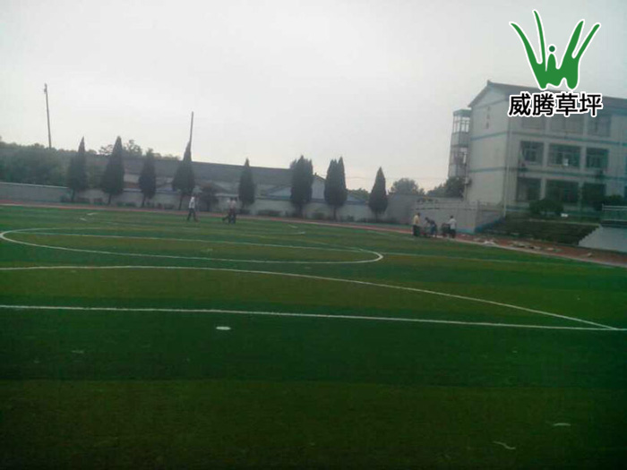 人造草坪足球场-上海申花俱乐部
