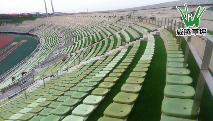 扬州体育馆项目-威腾人造草坪