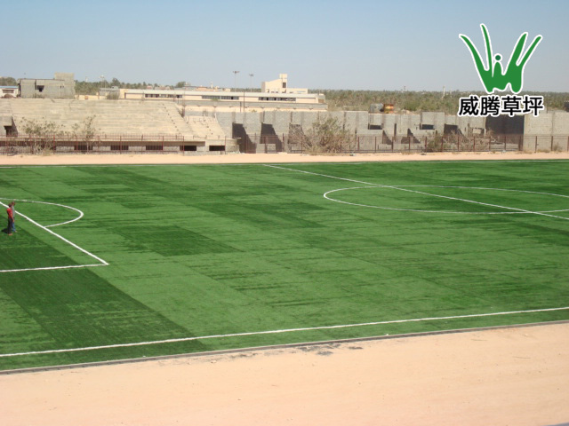 利比亚人造草坪足球场
