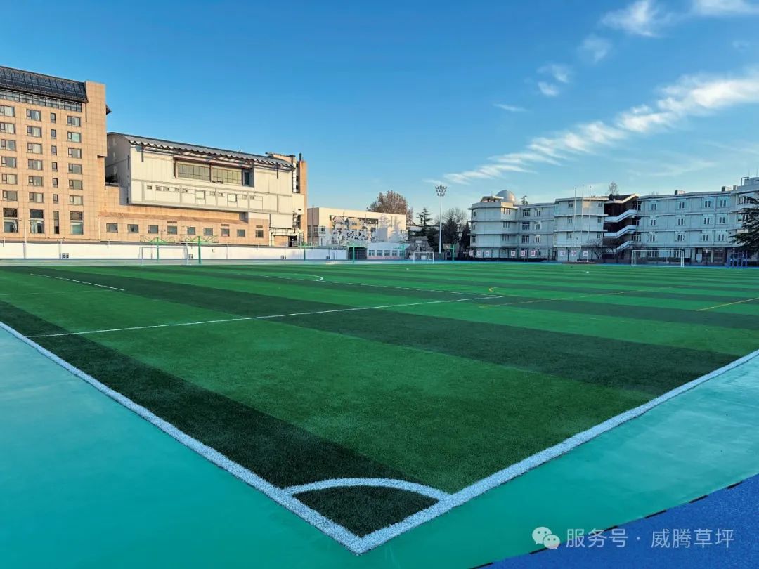 北京市第四中学选择威腾草坪